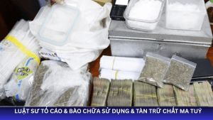 bào chữa tội ma tuý