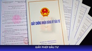 Tư vấn xin giấy phép đầu tư nhanh, đúng thủ tục. Hỗ trợ doanh nghiệp trong và ngoài nước thực hiện hồ sơ pháp lý chính xác.