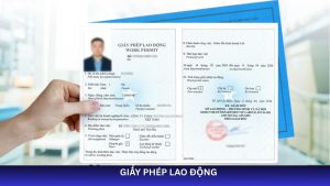 Hướng dẫn chi tiết thủ tục xin giấy phép lao động cho cá nhân và doanh nghiệp. Hỗ trợ hồ sơ, tư vấn quy định pháp luật rõ ràng, đầy đủ.