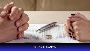 ly hôn thuận tình