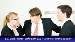 tư vấn giải quyết tranh chấp các thành viên trong công ty