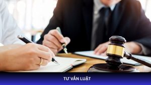 Tư vấn luật uy tín, chuyên nghiệp với luật sư giàu kinh nghiệm. Hỗ trợ pháp lý mọi lĩnh vực: dân sự, hình sự, đất đai, hôn nhân, doanh nghiệp.