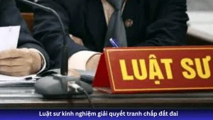 Luật sư tư vấn đất đai giải quyết các vấn đề tranh chấp đất đai
